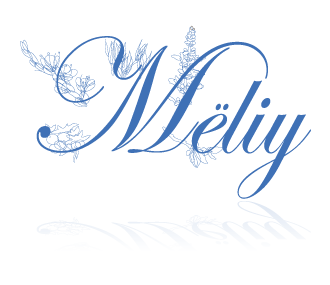 Meliy Logo